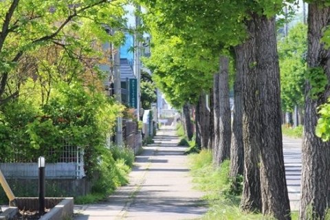 おすすめお散歩（市街地コース）