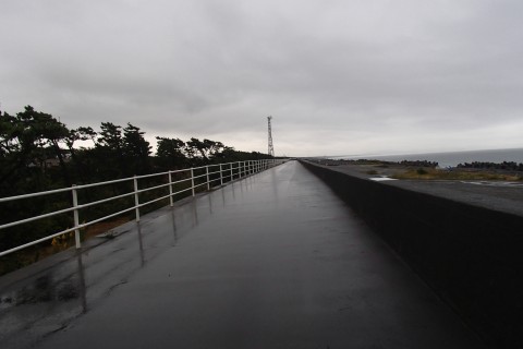 ★富士市-2★鈴川海浜スポーツ公園～沼津市（千本浜公園）