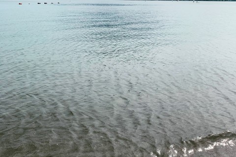 サップdeクルーズ鹿児島2021