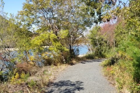 近江富士と希望が丘アクティブクロカン 約20km 紅葉編　（ほたるの湯 入浴券付き）