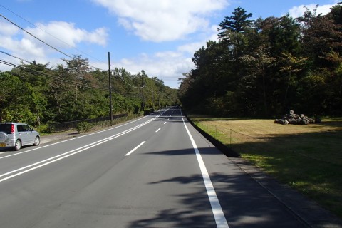 ★小山町-大御神2km★霊園参道（グリーンシャワーロード）