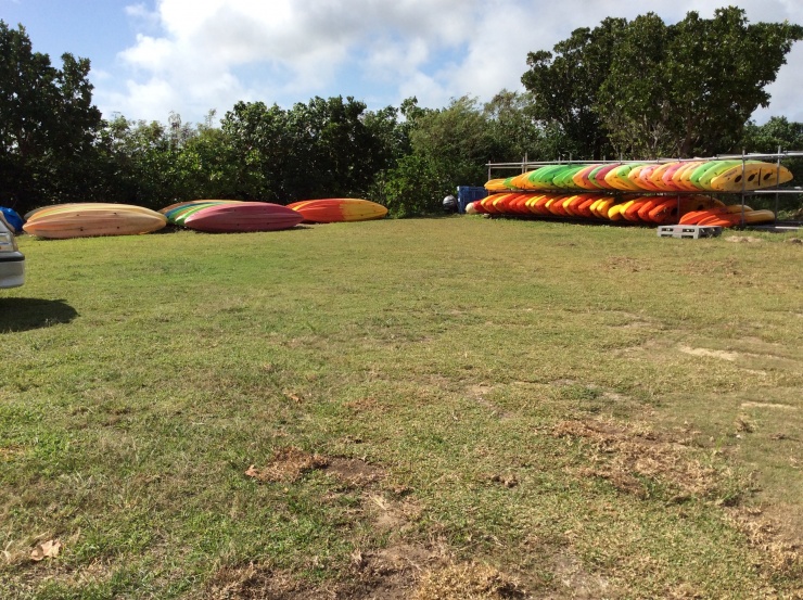 有限会社石垣島観光