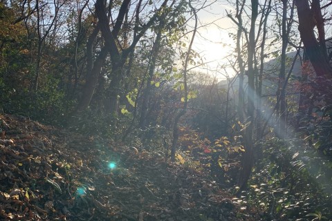 【5名限定】【山中温泉ツアー付き】【距離13km/累積1,300m】富士写が岳・火燈古道周回トレイル