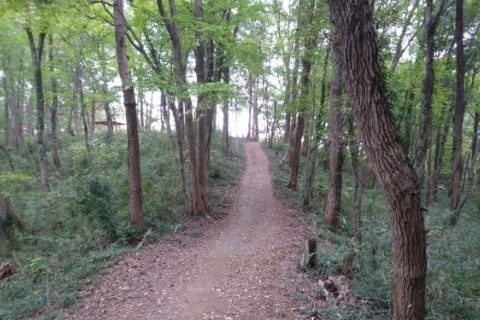 第2回茂呂山トレイルリレーマラソン