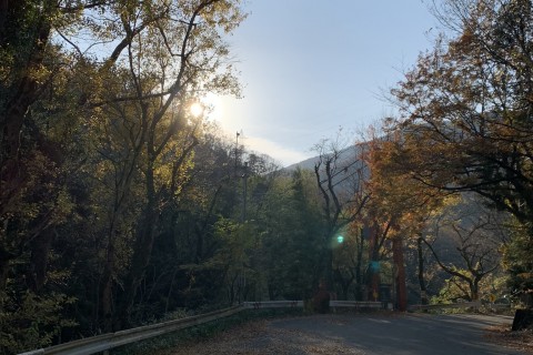 【5名限定】【山中温泉ツアー付き】【距離13km/累積1,300m】富士写が岳・火燈古道周回トレイル