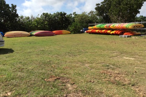 有限会社石垣島観光