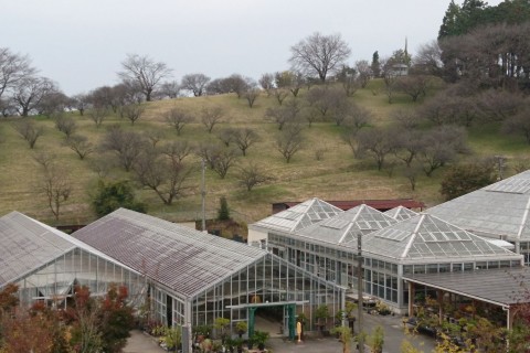 第2回茂呂山トレイルリレーマラソン