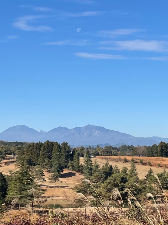 とちぎ月例マラソン