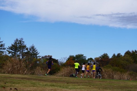 佐鳴湖で早朝ランニング