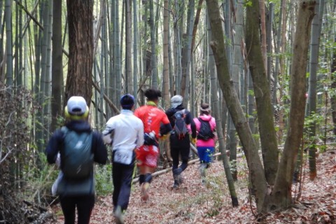 初詣 誰も知らなかった山の辺の道 約35km （明日香の湯 入浴券付き）