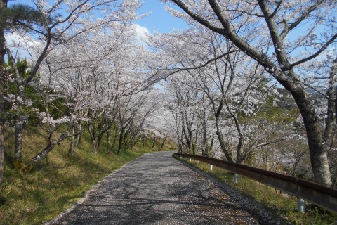 まつの桃源郷マラソン大会オンライン2023