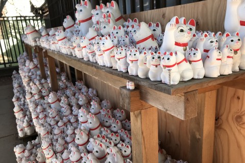 ランステウォーキング部2021年2月梅見ウォークコース