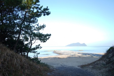 ADVENTURE MUNAKATA2026／走っても歩いてもバスに乗ってもOKなマラソン大会