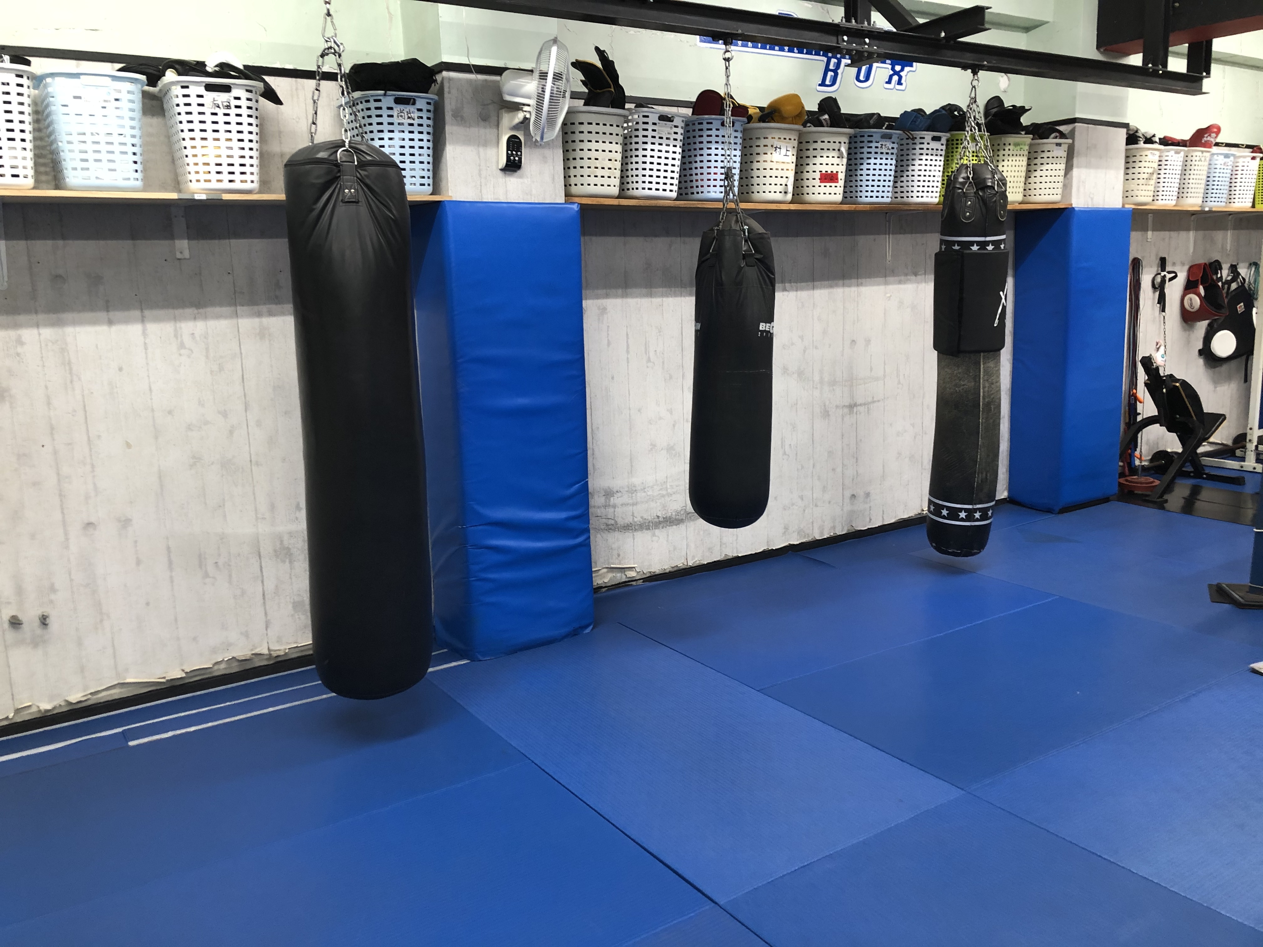 Siomame　引き取り専門　西宮市　サンドバック 20キロ トレーニング 希少になる 西宮市 引き取り専門 サンドバック トレーニング 20