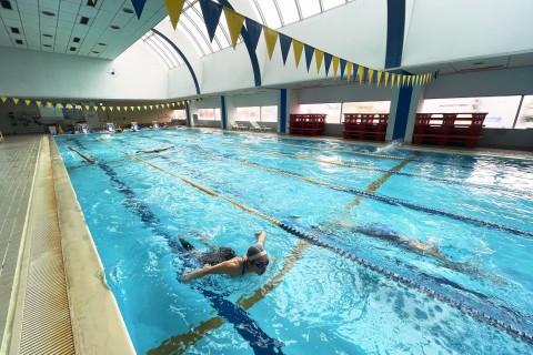 朝スイムメンバー募集