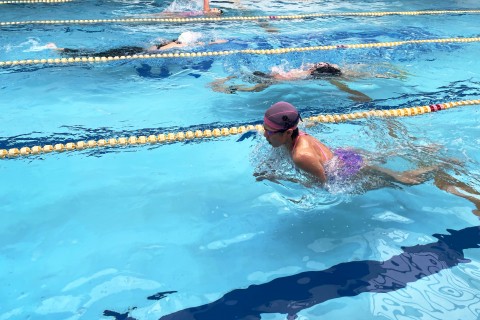 朝スイムメンバー募集