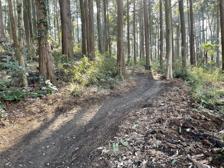 トレイルアドベンチャー横浜