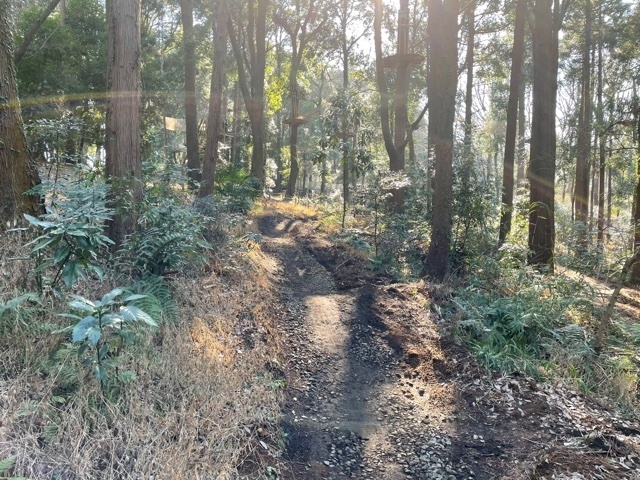 トレイルアドベンチャー横浜