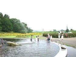 和賀川ふれあい広場テニスコート