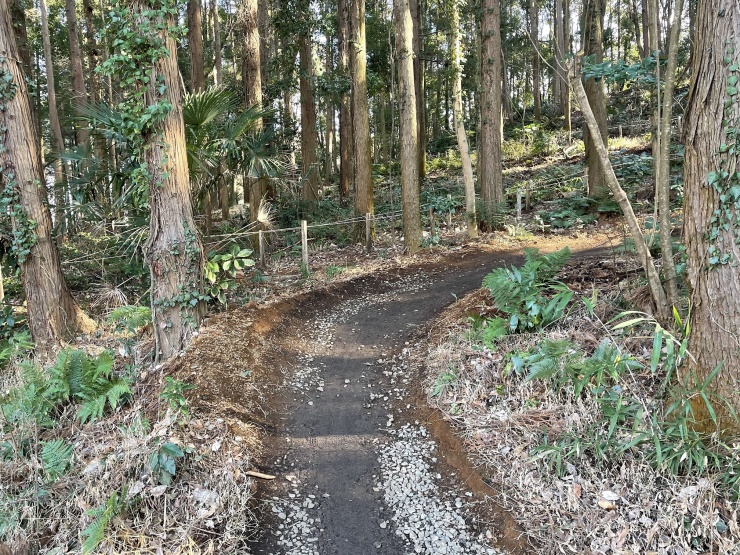 トレイルアドベンチャー横浜