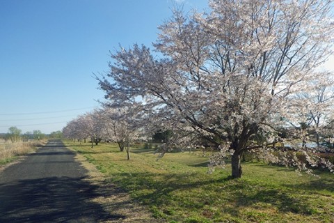 なかがわ水遊園 2Hリレーマラソン2026