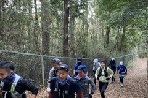 WA!whynot?ランニングクラブ（初心者大歓迎です）