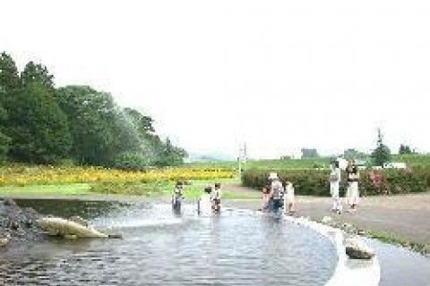 和賀川ふれあい広場テニスコート