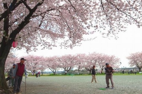 厚木青少年広場