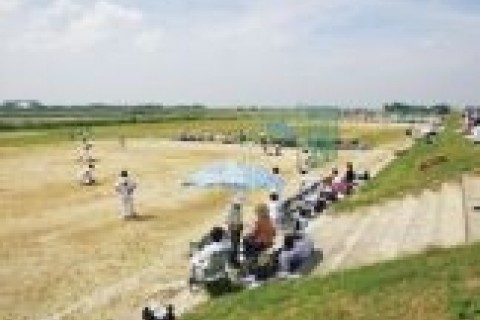 重信川ソフトボール広場