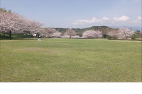 小松中央公園グランドゴルフ場