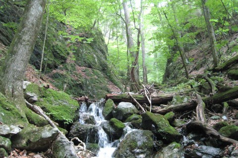 女性限定日帰りトレイルランニングセミナーin上野村