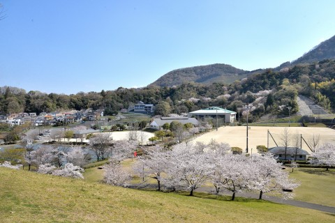 陶街道ゆとり公園