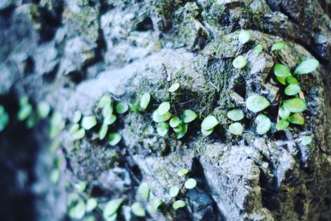 【温泉付き】奥多摩から日の出町を目指そう！みんなで楽しくレッツ！トレイルランニング！！