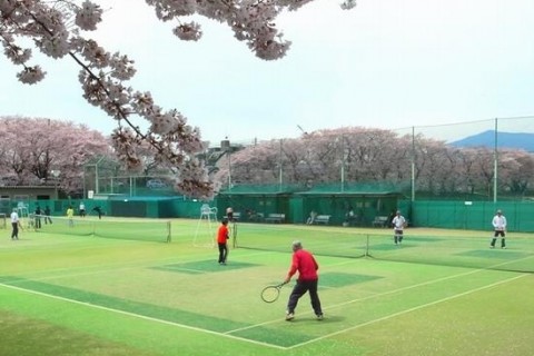 厚木テニスコート