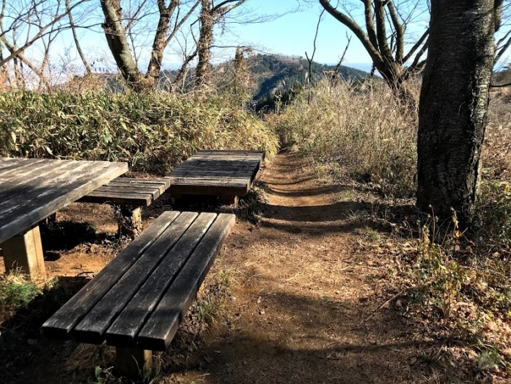 身体を動かしたあとのランチは格別！