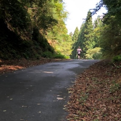 野殿～多羅尾12.5㎞周回コース