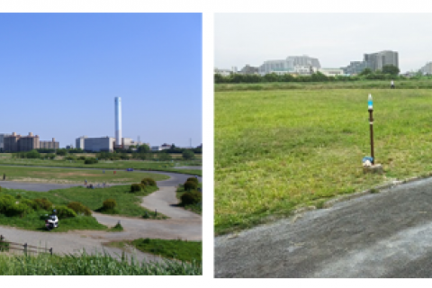 古市場コース
