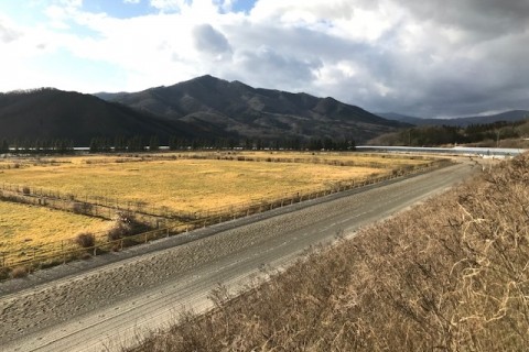 遠野馬の里ダートリレーマラソン2023