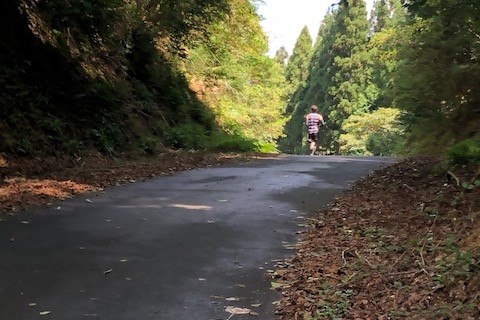 野殿～多羅尾12.5㎞周回コース