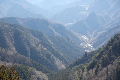 【3/6開催】奥多摩トレイルランニング【2000円】