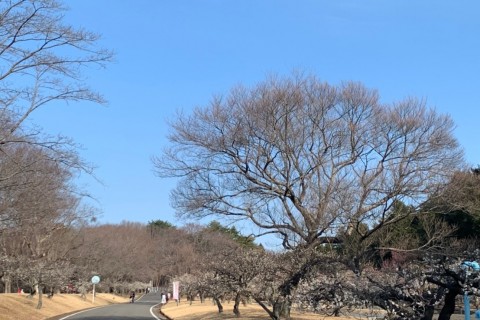 井頭チャレンジマラソン2026