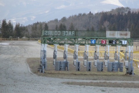 岩手県　遠野馬の里ダートリレーマラソン