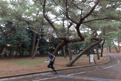 第６回鹿児島ランニング大学(&親子で遊ぶオリエンテーリング体験講習会)