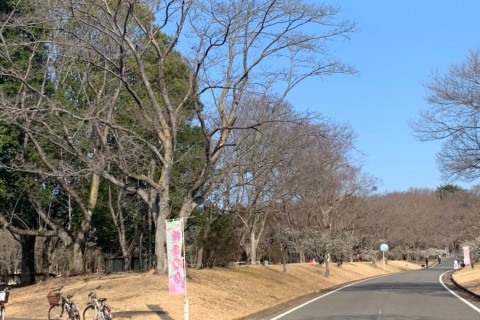 井頭チャレンジマラソン2026