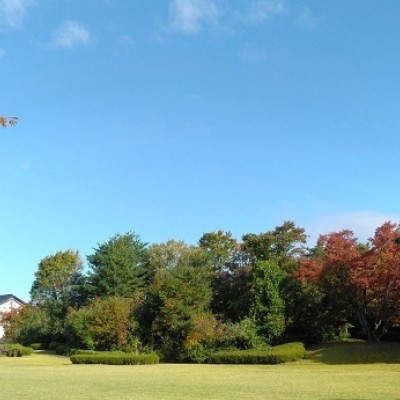 【ランニング・ウォーキング】詩歌の森公園コース