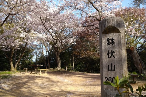 関西ハイキング『ワクワクドキドキ！須磨アルプス』5/5（水）