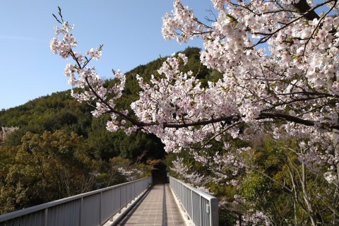 関西ハイキング『ワクワクドキドキ！須磨アルプス』5/5（水）