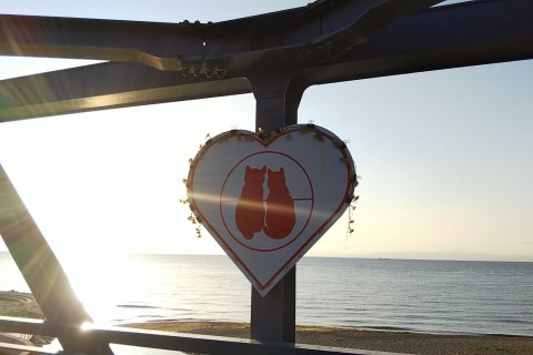 淡路島マラニック『たまには挑戦！山越え往復で東西の海を制覇』5/22（土）