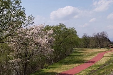 【ランニング・ウォーキング】九年橋せせらぎ公園コース