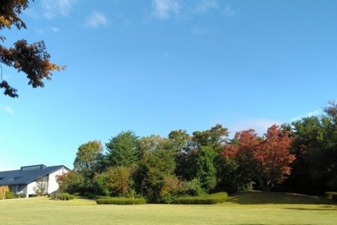 【ランニング・ウォーキング】詩歌の森公園コース